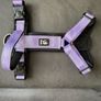 Gorgeous Purple Dog Harness Size Medium Brand New Image 2
