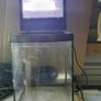 fish tank Image 2
