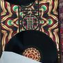 Mastodon The Hunter Deluxe 2LP Image 2