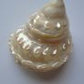 Shells, Home decor, Shell decorations.New Image 6