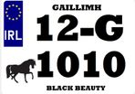 Trailer Number Plates Custom
