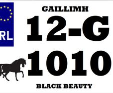 Trailer Number Plates Custom