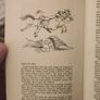 An Irishman's Diary. By Patrick Campbell. Illustrated By Ronaldsearle. First Edition Hardback With Dustjacket In Good Condition. Book In Good Condition.  Dustjacket Very Tatty. See Photos For Same. Image 4