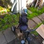 Bentley trike Image 2