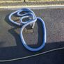 gutter vac Image 7