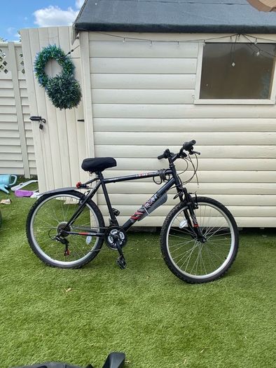 Mens Bicycle