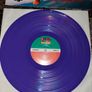 Stone Temple Pilots: Purple LP Image 3