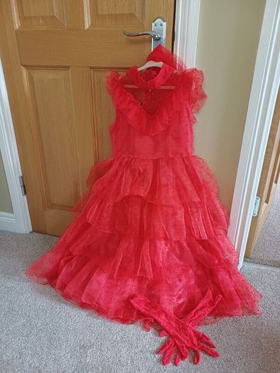 girl's dress up fancy dress costumes and accessories