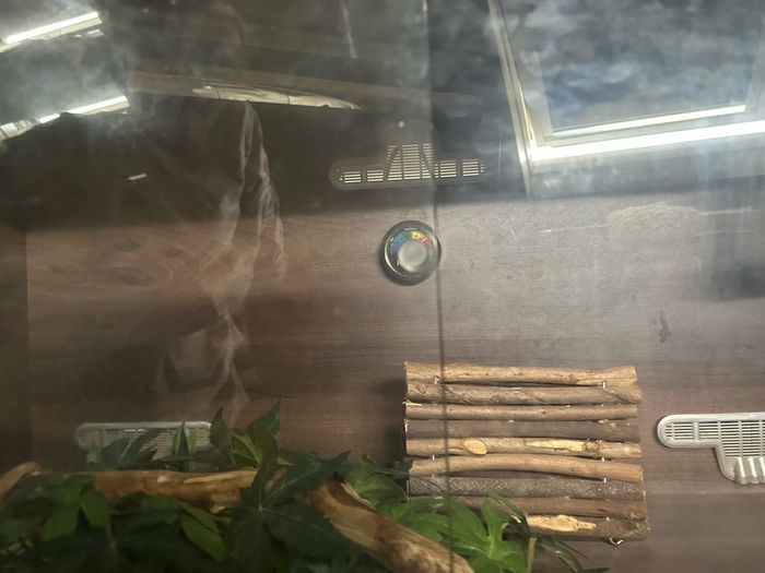 Gecko Enclosure