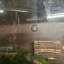 Gecko Enclosure Image 4