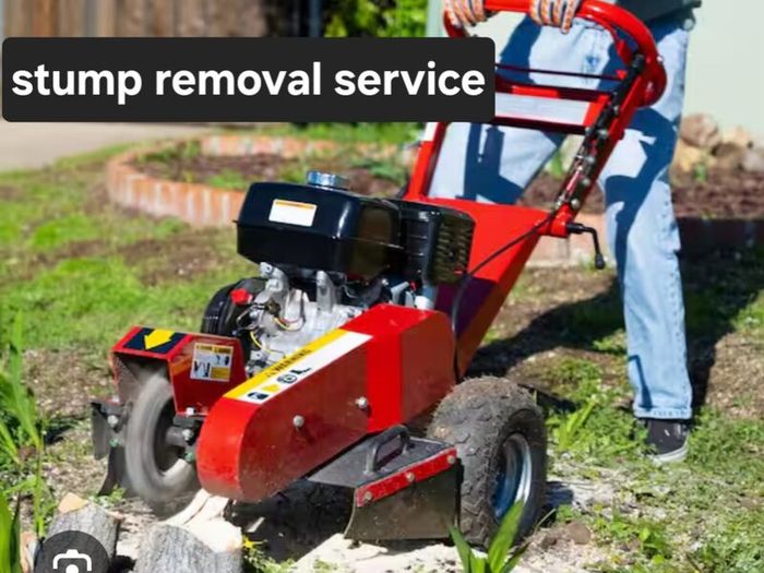 Stump removal service