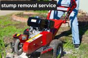 Stump removal service