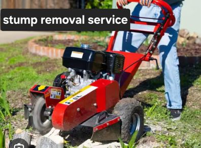 Stump removal service