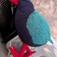 Takahe bird plush toy - soft toy