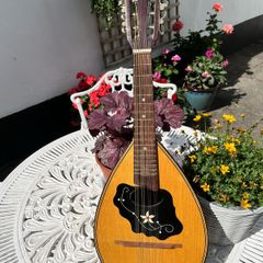 Artia Excelsior made for Boosey & Hawkes - model No. 556
