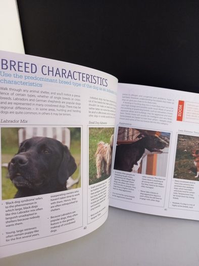 SALE! DOG CARE & TRAINING - A complete illustrated guide to adopting, house-training and raising a healthy dog