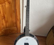 5 string banjo