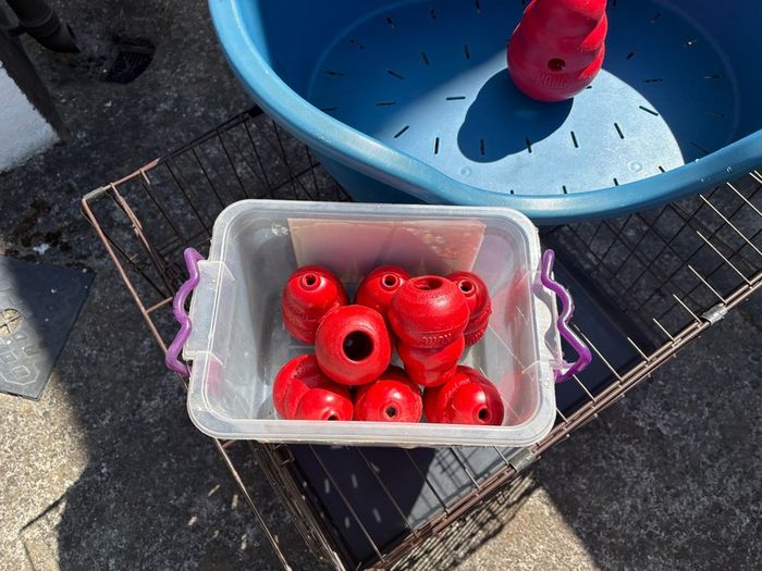 Dog Training Crate ,Bed and 8 Feeding Kongs