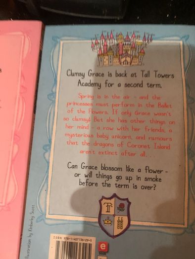 Set of 4 Princess Disgrace books