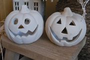 Two Mini pumpkins