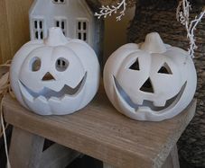 Two Mini pumpkins