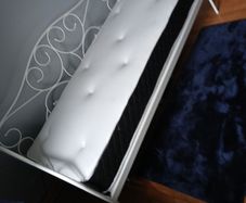 metal bed could hold 2x