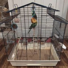 bird cage