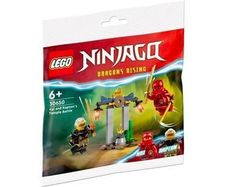 LEGO Ninjago Dragons Rising Kai and Rapton's Temple Battle (30650)