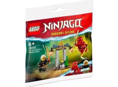 LEGO Ninjago Dragons Rising Kai and Rapton's Temple Battle (30650)