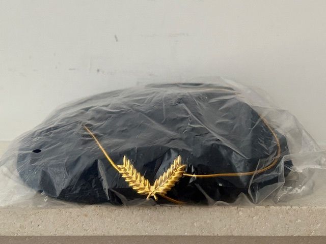 Halloween Costume