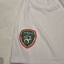 Ireland Umbro Shorts Image 2