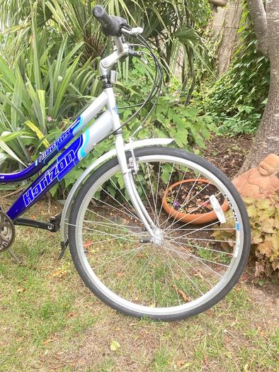 Hybrid Bike