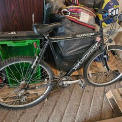 mens bike