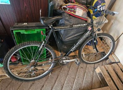 mens bike