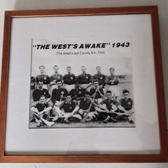 Eire Og Tipperary Hurling Team Old Print