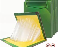 5 Extra-Strong Sticky Pads Large Mouse Insect Mice Durable Trap Boards for Indoor & Outdoor Use Perfect for Home Kitchen Garage Garden