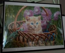 Puzzles in frame.