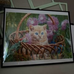 Puzzles in frame.