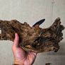 Aquarium Driftwood Size Medium Image 3