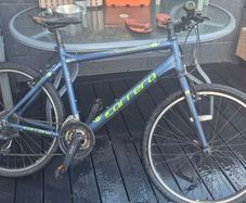 Carrera Mens Mountain Bike