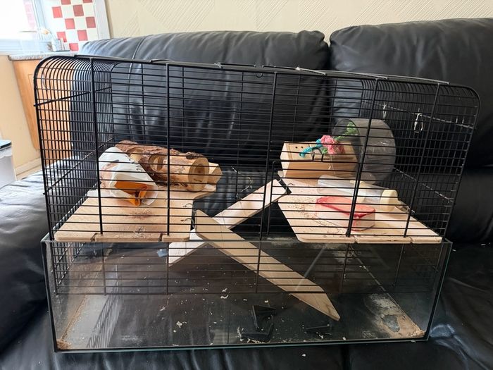 Hamster cage