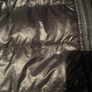 Canada goose hybridge Image 2