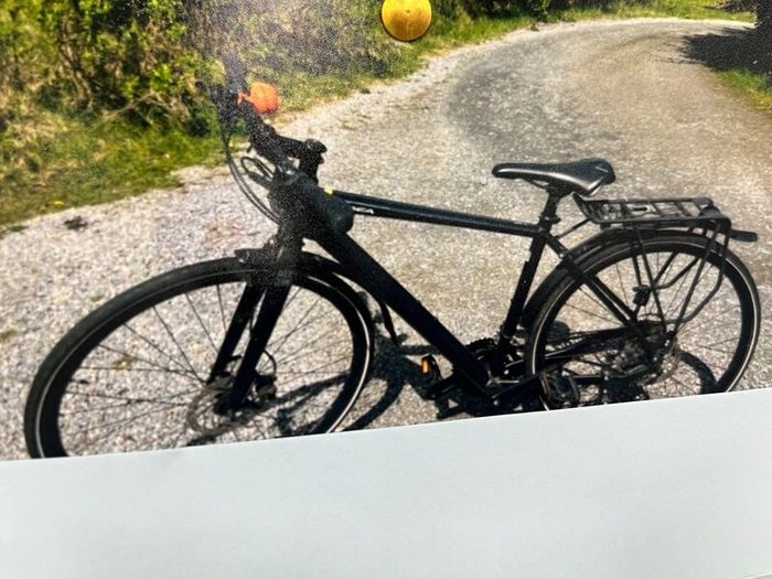 Ladies/ gents bicycle .