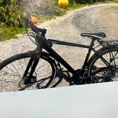 Ladies/ gents bicycle .