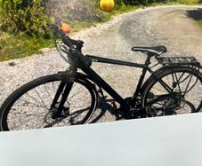 Ladies/ gents bicycle .