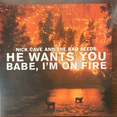 Nick Cave & The Bad Seeds - He Wants You / Babe, I'm On Fire (10")