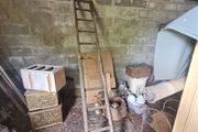 Antique Ladder