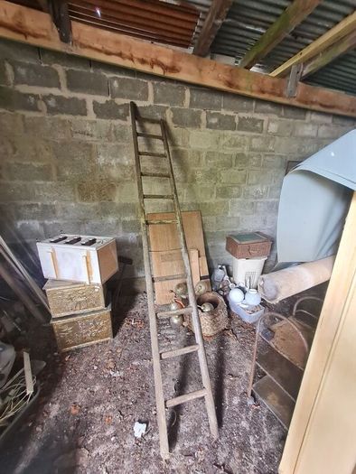 Antique Ladder