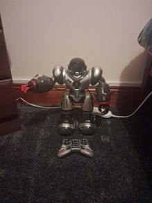 Electronic Robot