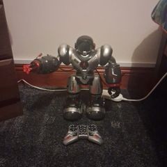 Electronic Robot